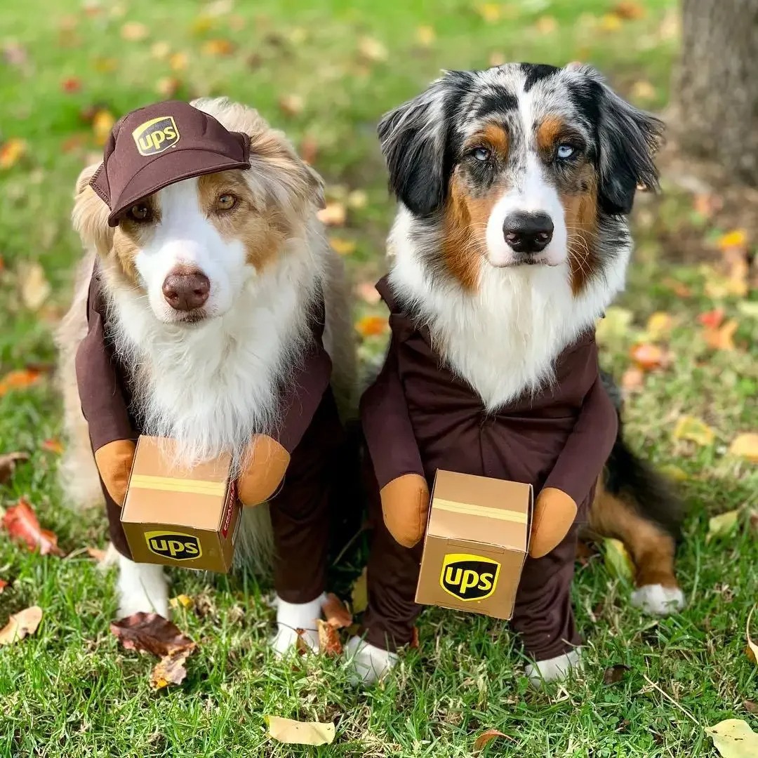 Pet Courier Costume Dress Up Standing Outfit Pet Costumes Funny Dog Cat Cosplay Clothes Role Playing Halloween Decor Clothes