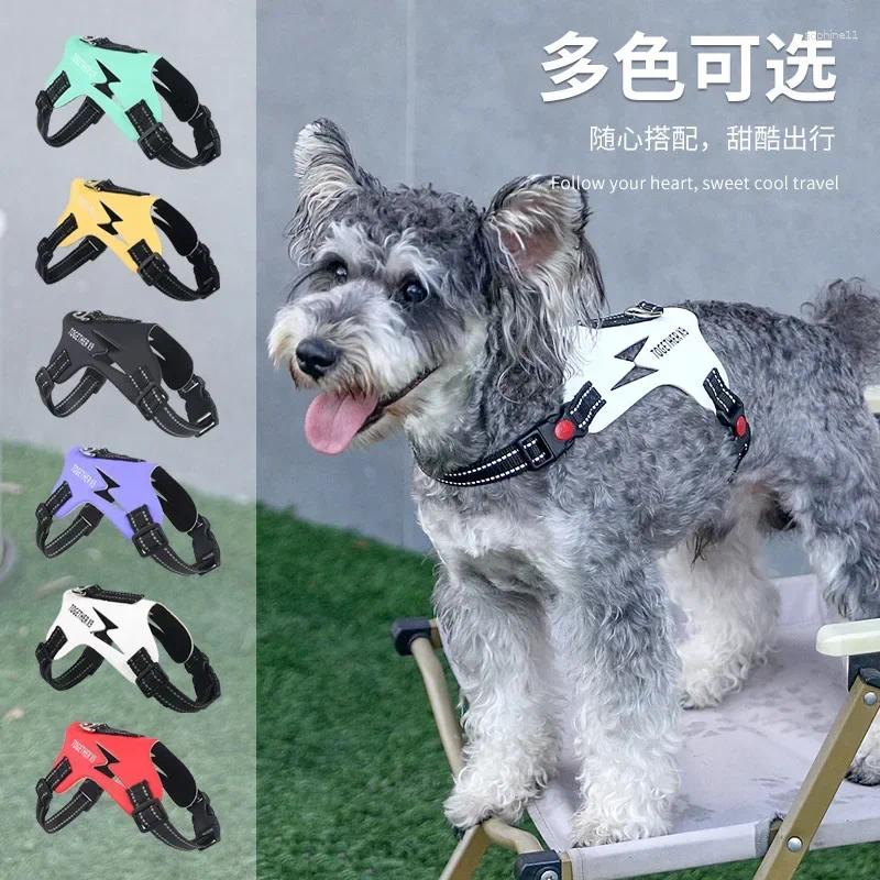 Update South East Asia Pet Chest Strap Dog Explosion-Proof Vest Type Walking Leash Source Factory Spot