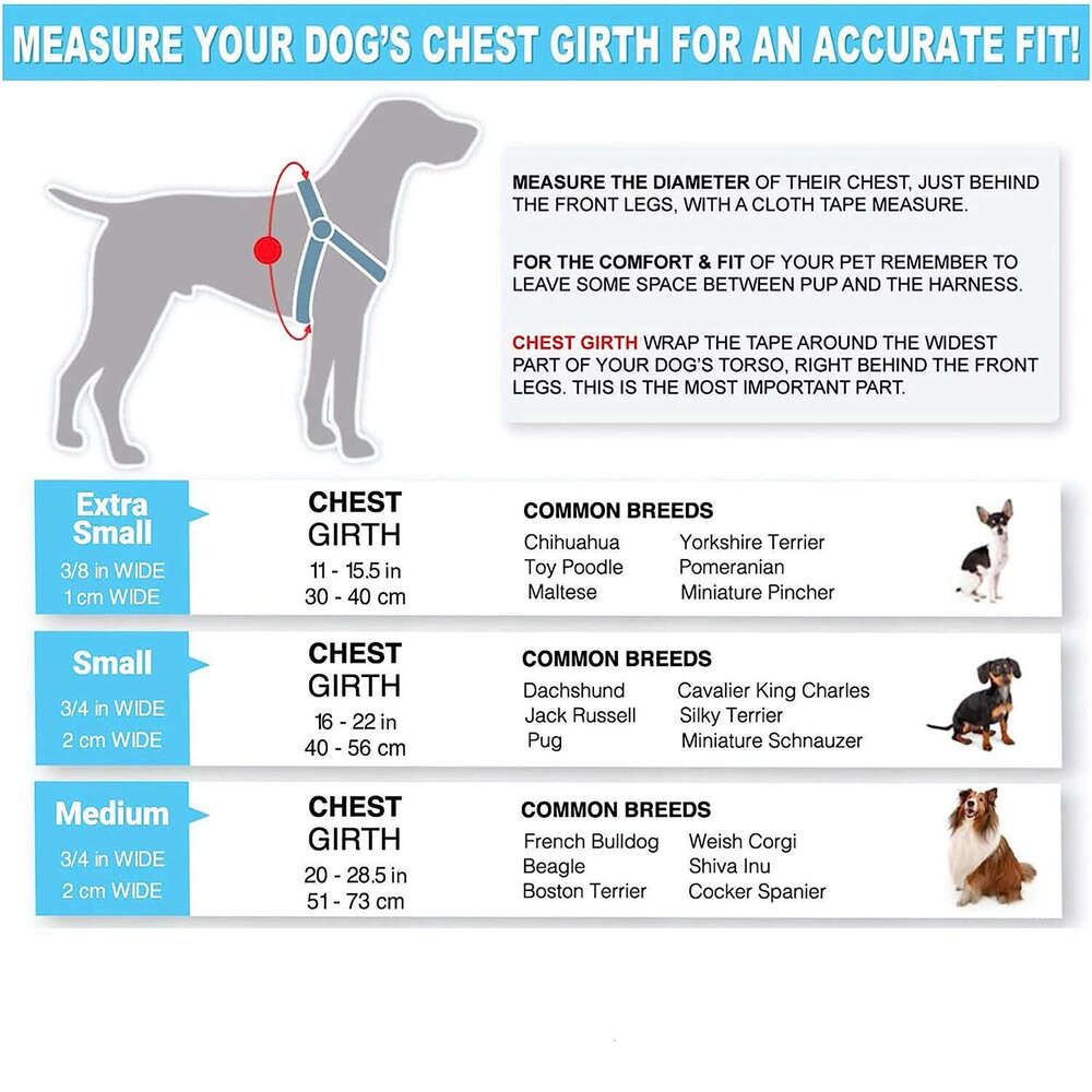 Dog leash, rope, chain, Teddy small, medium and large dog anti slip vest style printed chest strap topstamp
