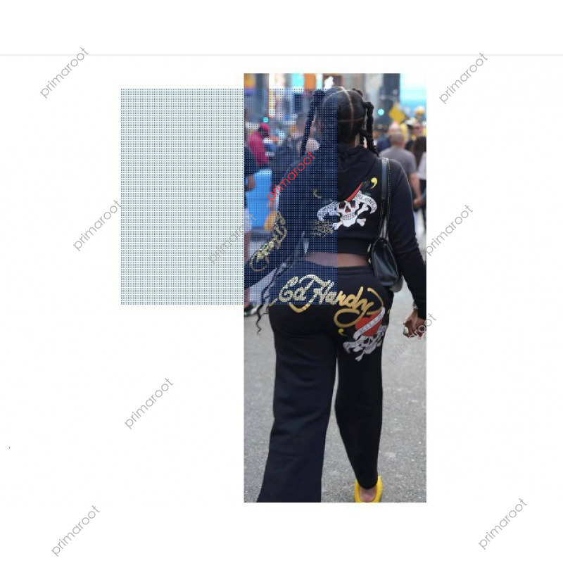 Womens High Quality Tracksuit Women Track Letter jogger suits Sweatsuits Hoody hardy set 557 C260312