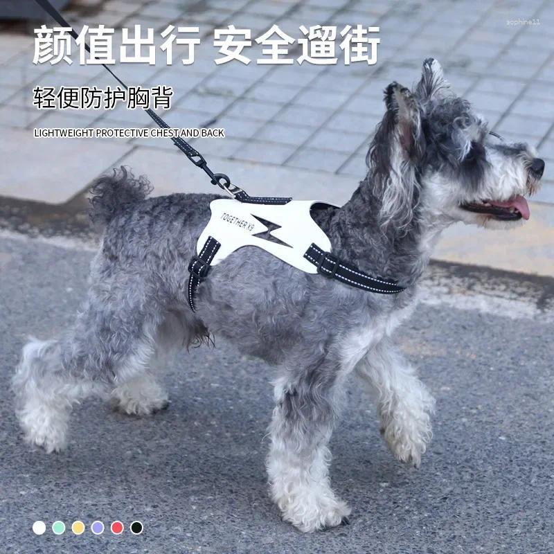 Update South East Asia Pet Chest Strap Dog Explosion-Proof Vest Type Walking Leash Source Factory Spot