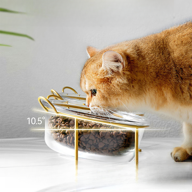 Cat double bowl oblique mouth anti-knock cute glass protection cervical spine cat food basin cat food bowl cat supplies