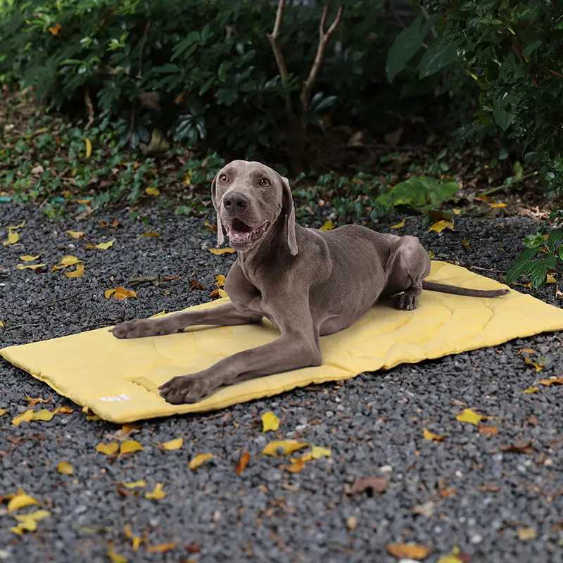 Portable pet mat foldable pet supplies waterproof dog bed with storage bag easy to clean dog house outdoor camping Y250407