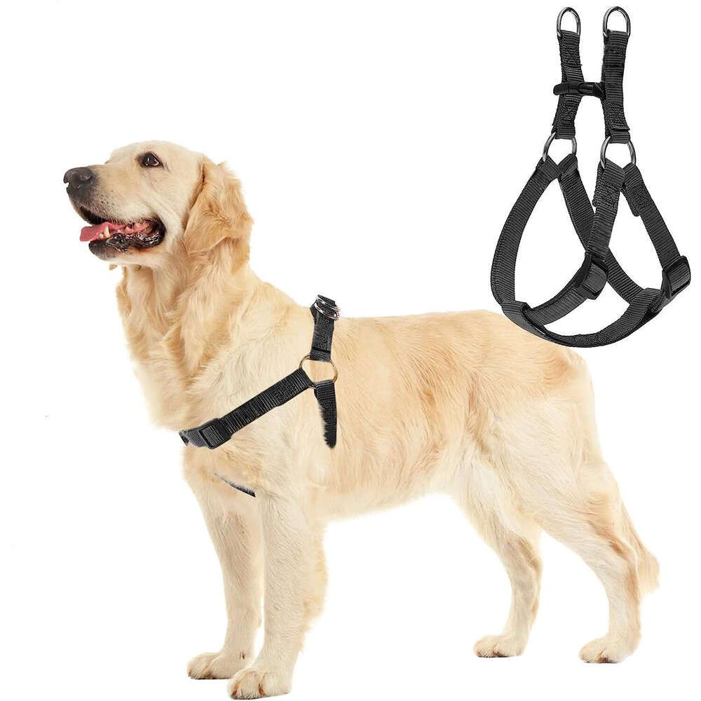 Dog leash, rope, chain, Teddy small, medium and large dog anti slip vest style printed chest strap topstamp