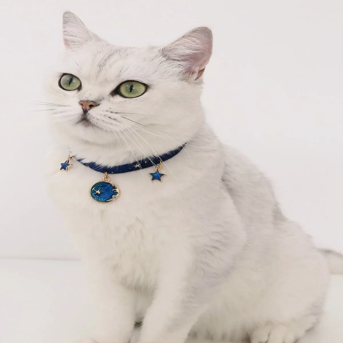 1pc-Cute Cat Pendant Necklace Printed Star Puppy Collar Lobster Clasp Adjustable Extension Chain Pet topstamp