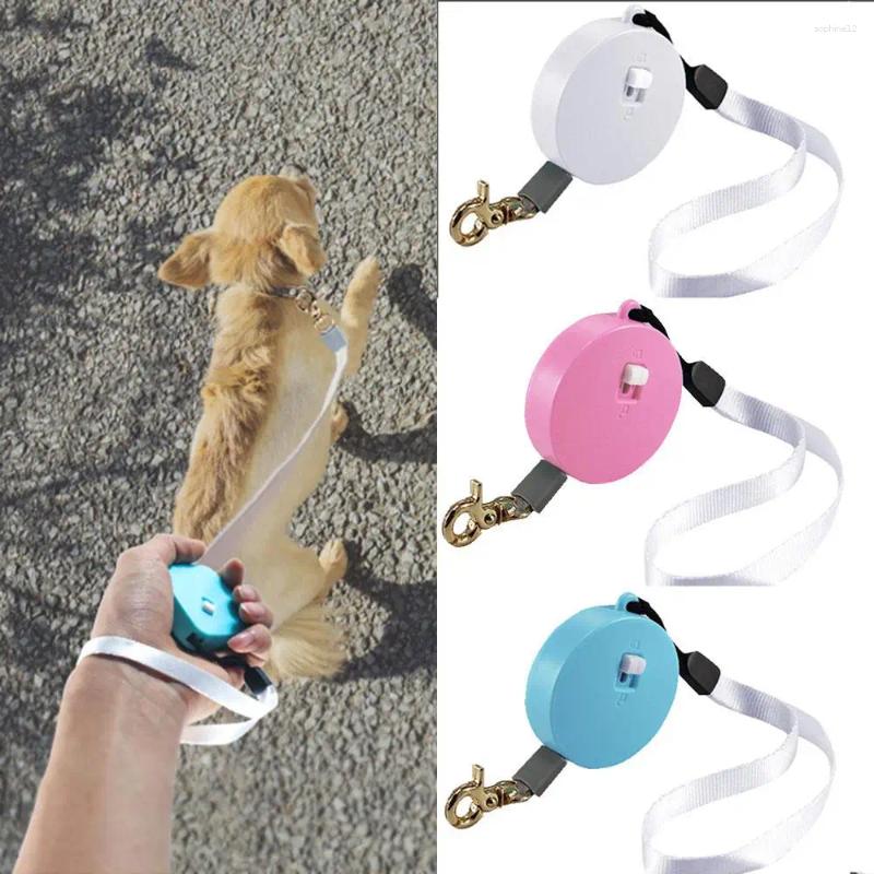 Retractable Dog Leash 2m Length Mini Pocketable With Adjustable Metal Carabiner For S/M Size Puppy And Kitty Pet Automatic topstamp
