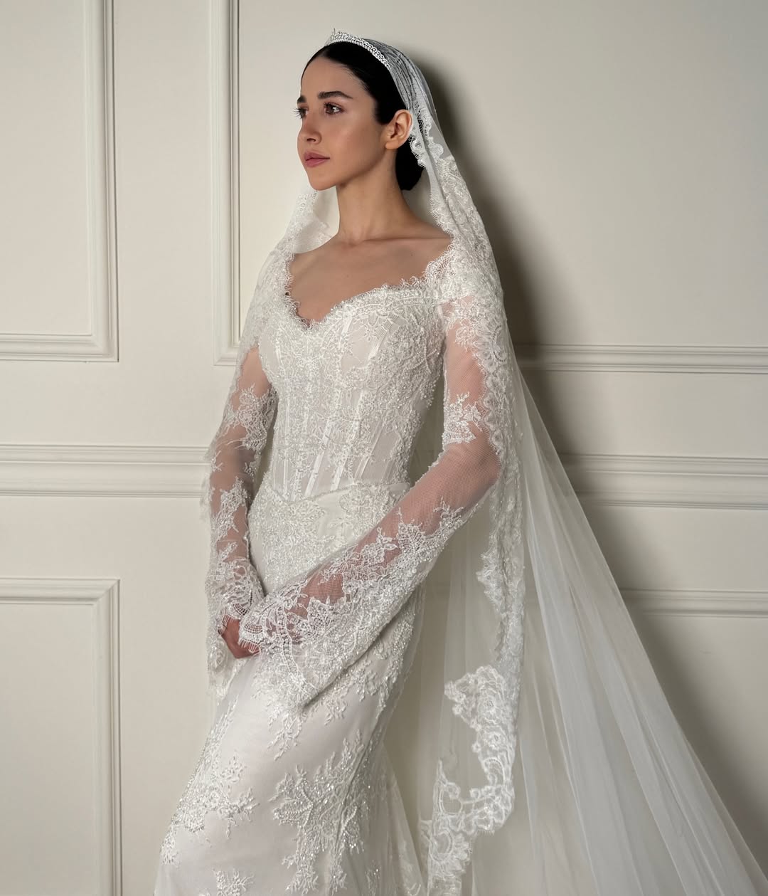 Designer Wedding Dress Sexy V Neck Off The Shoulder Transparent Lace Embroidery Mermaid Bridal Gowns With Veil BC21610 N08