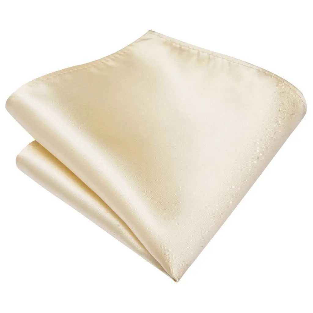 Champagne Ivory Solid 2023 New Elegant Mens Ties Hanky Cufflink Silk Necktie For Men Wedding Party Business Fashion Brand Hi-Tie X250407