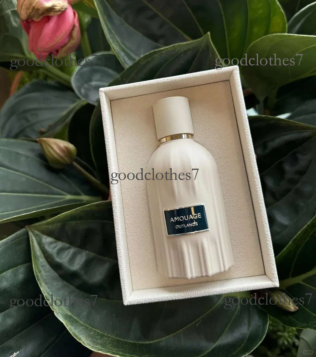 Amouage Outlands Reasons Guidance Jubilation 40 Woman Perfume 100ml Eau De Parfum Long Lasting Smell Fragrance Brand Man Women Cologne Spray