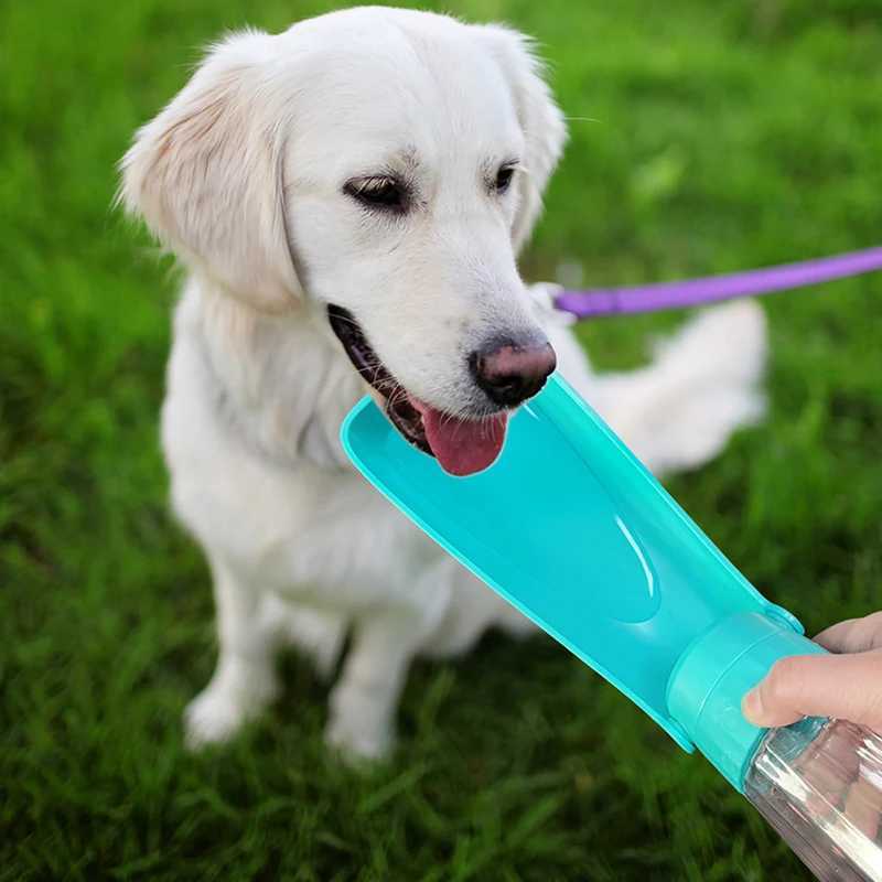 free shipping Small medium large folding water dispensers for small dogs cats and pet supplies Y250407