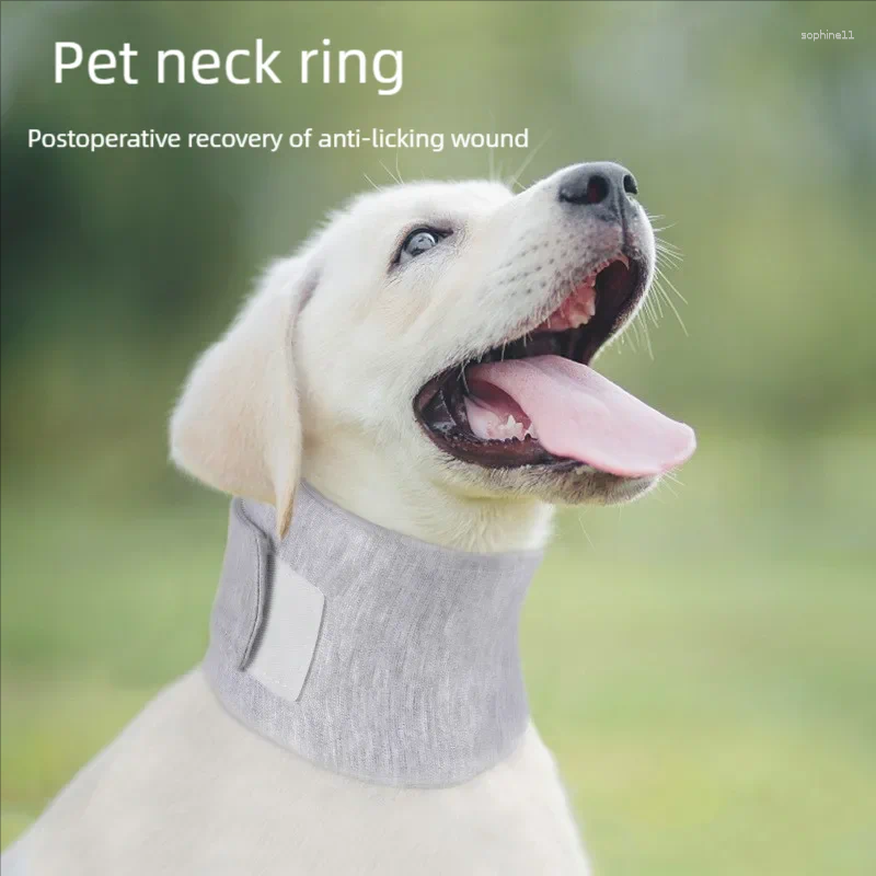Update Dog And Cat Neck Covers Skin-Worn Protective Sleeves Collar Anti-Grabbing Licking Bite-Resistant For Wounds Pet Elizabe