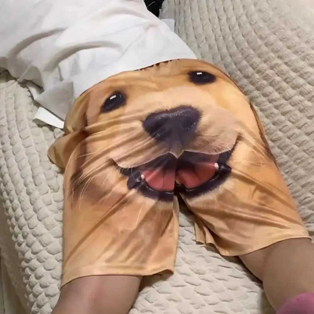 Fashionable and fun pet dog shorts casual 3D printed mens summer shorts cute animal shorts walking home pajamasXJ250407