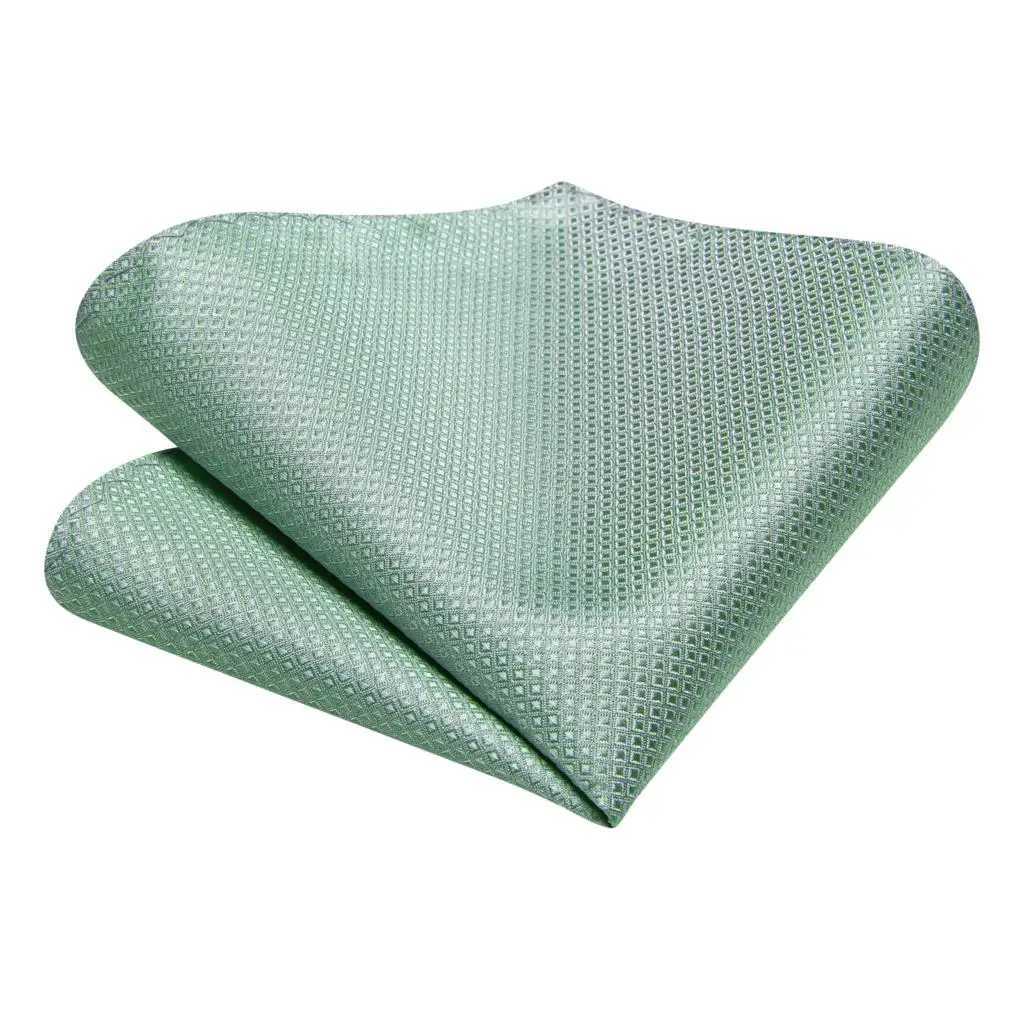 Gift Tie for Men 2023 New Sage Green Plaid Fashion Brand Wedding Party Necktie Handky Cufflinks Wholes Hi-Tie Designer X250407