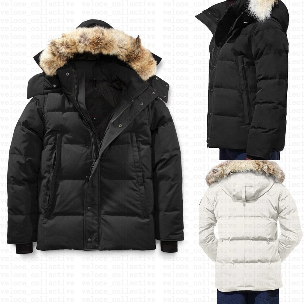 Designer Canada Down Jackets Wyndham Mens Luxury Outdoor Puffer Coat Jacket Fashion Winter Warm Trend Hooded Parkas Warmth Feather Coyote Fur Doudoune 3XL
