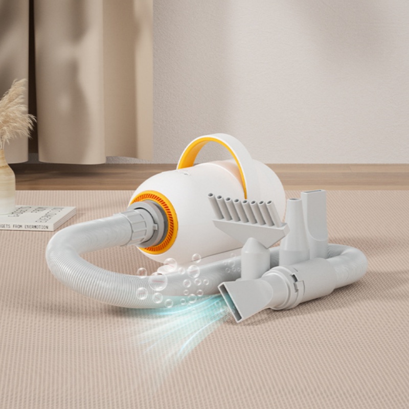 Versatile Pet Hair Removal System Blending Blowout Power and Suction Technology for Pets