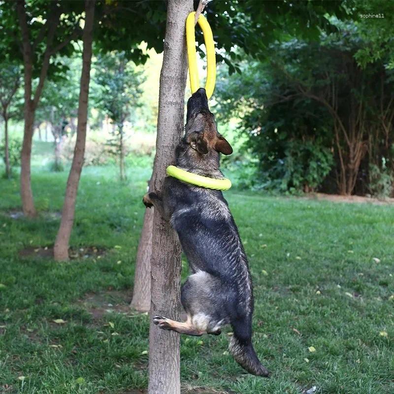 Update Dog Toys Pet Flying Discs EVA Training Ring Puller Resistant For Dogs Floating Puppy Bite Toy Interactive