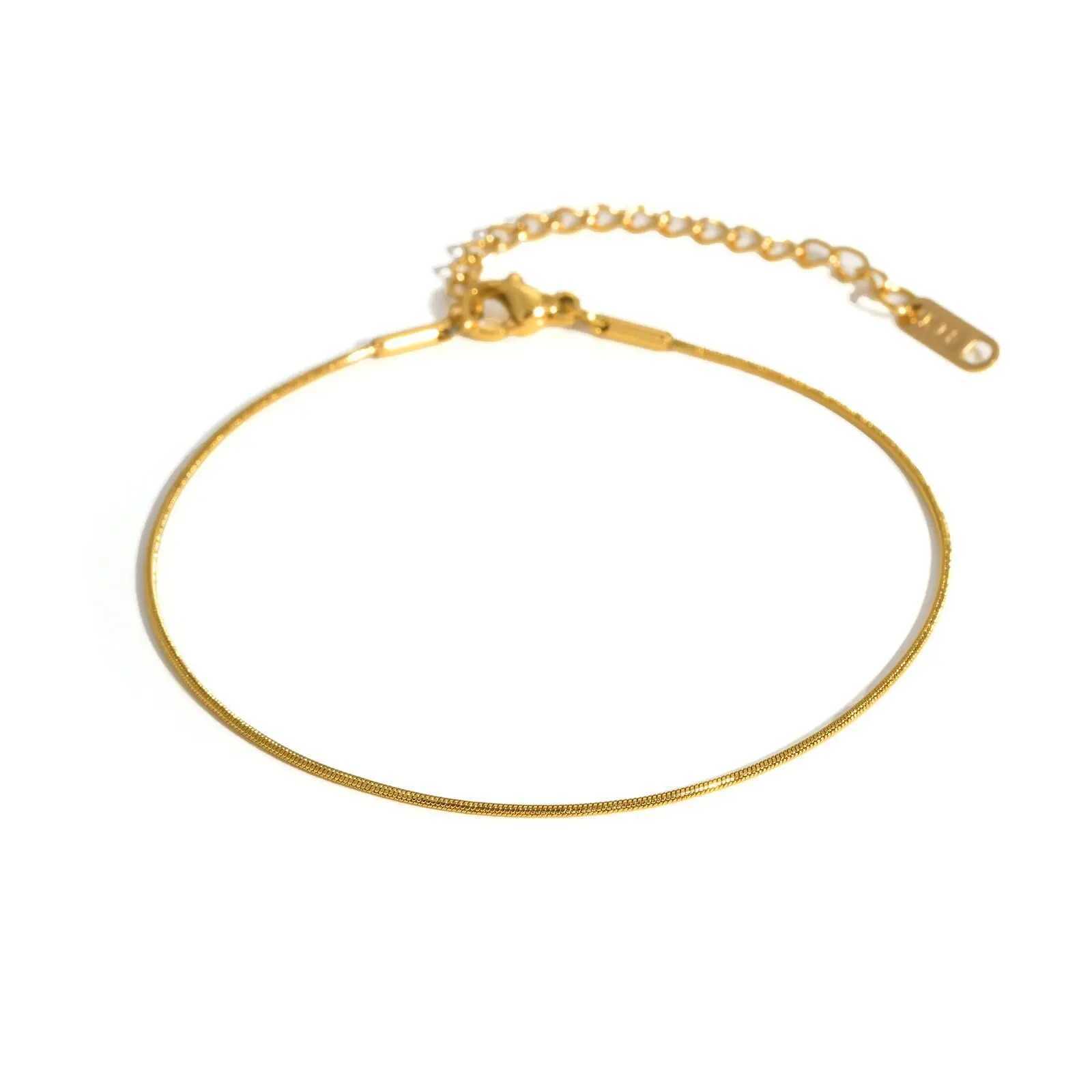 Prjewel Simple Stainless Steel Snake Anklet for Women Elegant Summer Beach Foot Jewelry Waterproof Adjustable Chain for Girl New Z250408
