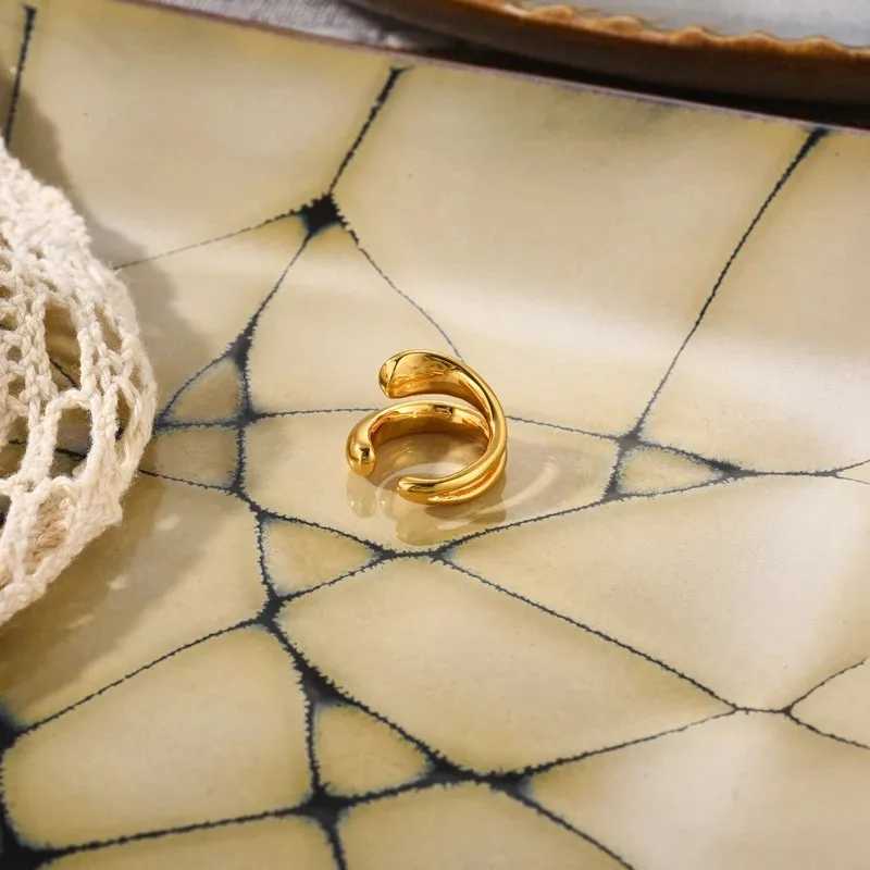 Fashion Womens Piercless Ear Clip Earring New Fashion Jewelry Accessories Earcuff Earrings For Women Gifts Z250408