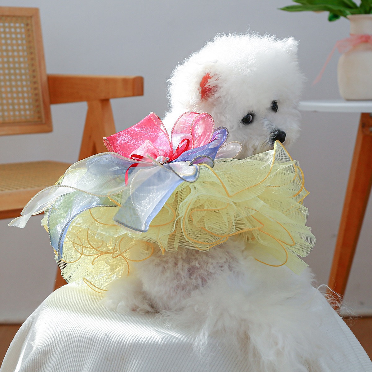Fancy Dog Dress , Embroidered Dog Wedding Dress, Bow Puppy Clothes for Small pet Girl Multi-Layer Lace Cat Outfit colorful