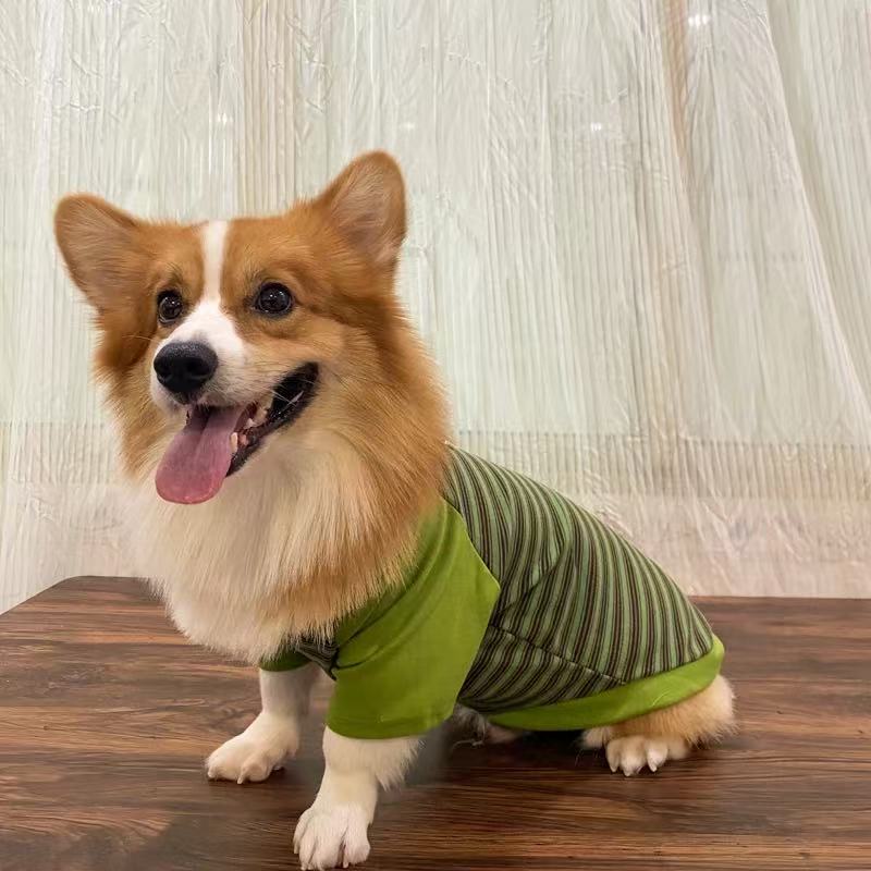 T01 Pet Dog Spring/Autumn Clothing: Corgi/Shiba Inu Warm Casual Leashable Striped Crew Neck Sweatshirt