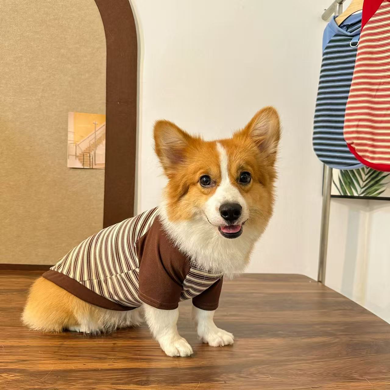T01 Pet Dog Spring/Autumn Clothing: Corgi/Shiba Inu Warm Casual Leashable Striped Crew Neck Sweatshirt