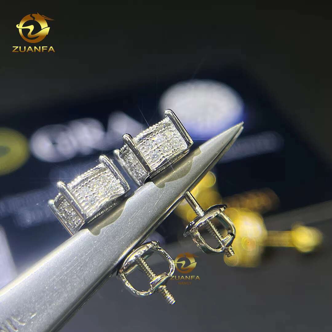 Hip Hop Jewelry Pass Diamond Tester High Quality Mens Earring 10k Solid Gold Moissanite Ear Studs Earrings