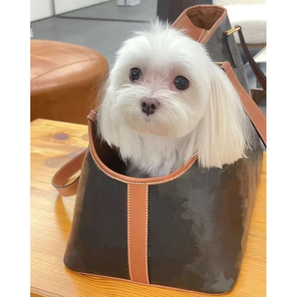 With Safety Lock For Small Designer Purse Dog 18 11 X 9 In Fits Dogs 7 To 15 Lbs Luxury Cats Puppies Tote Bag Carrier Outing Travel