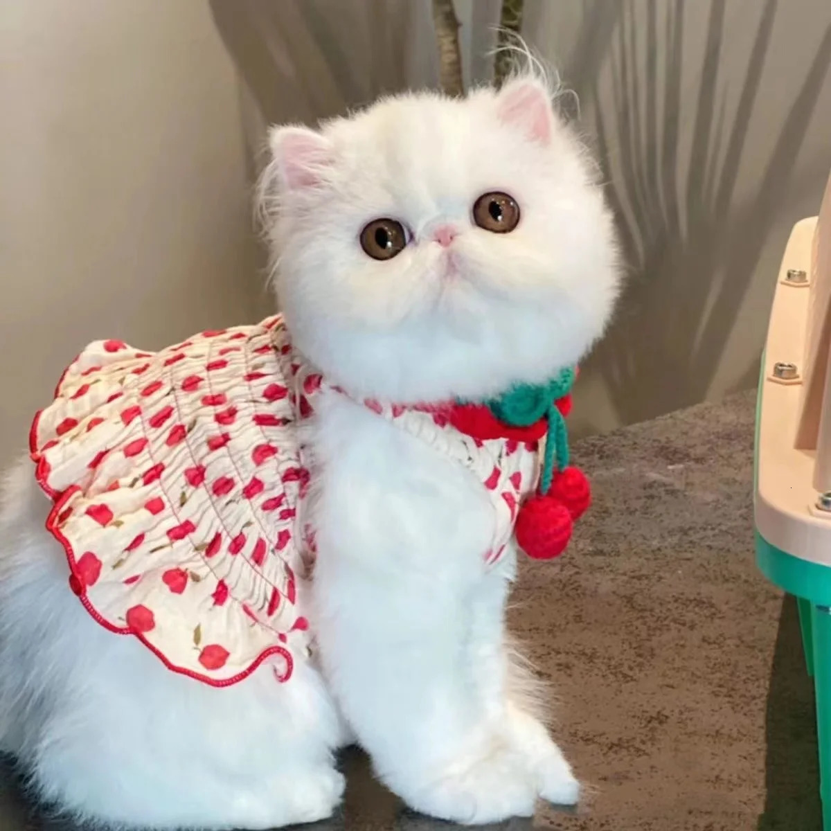 Dogs puppies cats princess vests cute dogs pet clothing summer camisole dresses Zi Biong 250409