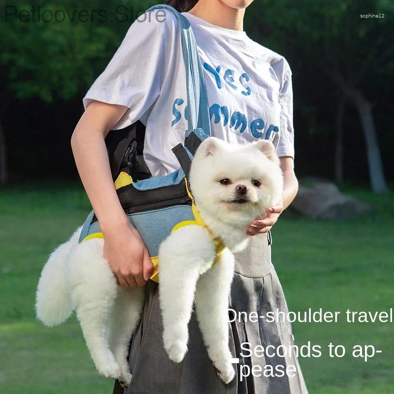 Durable Small Pet Carrying Bag with Secure Latch System