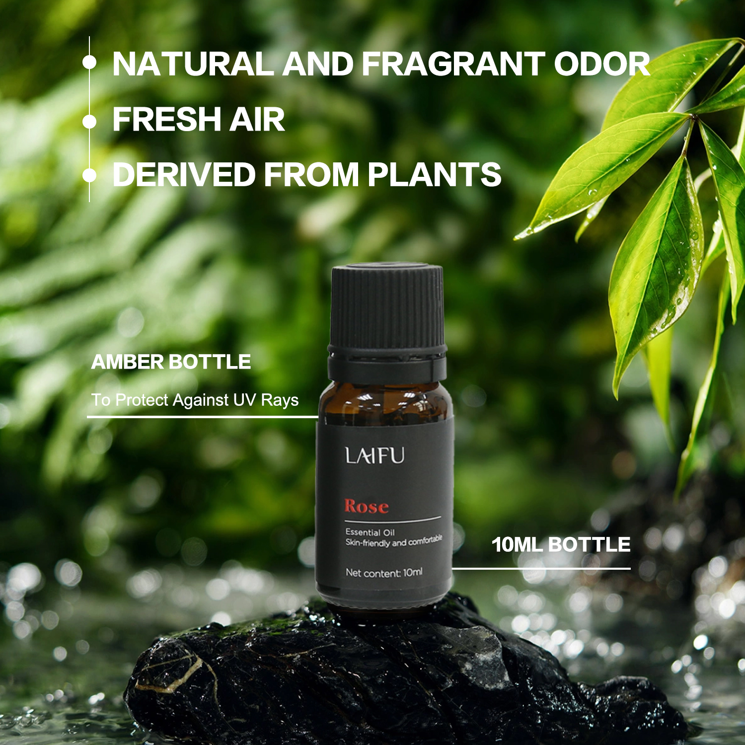 Aromatherapy Essential Oil Set, Water Soluble Scents for Humidifier, Diffuser, Candle & Soap Making, Home, Hotel & Restaurant Use, Multiple Fragrances