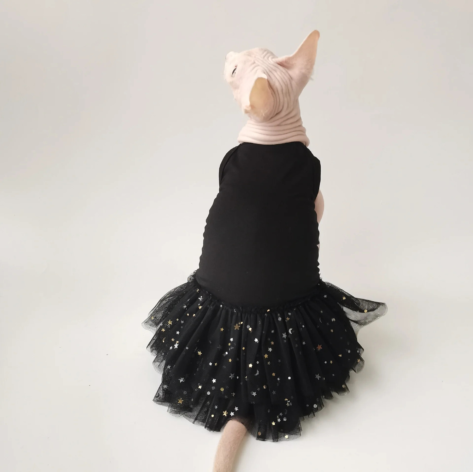 Summer Style Suspended Star Sheer Skirt is made of pure cotton fabric featuring a cool and breathable sphinx hairless cat and German clothing 250409