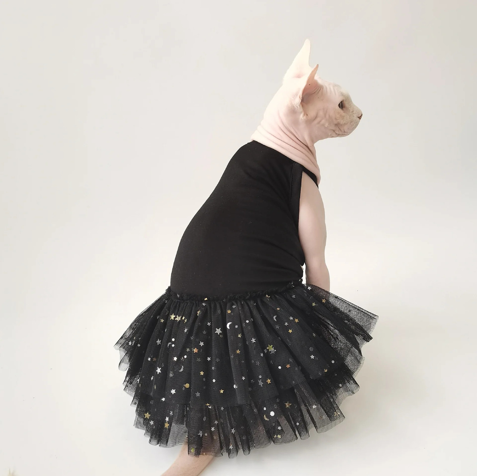 Summer Style Suspended Star Sheer Skirt is made of pure cotton fabric featuring a cool and breathable sphinx hairless cat and German clothing 250409