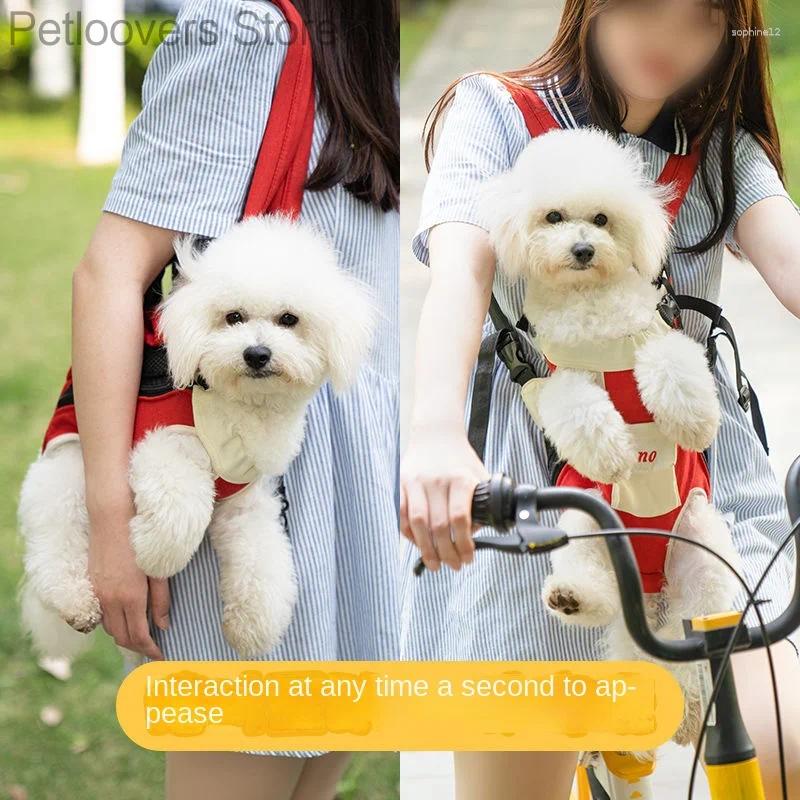 Durable Small Pet Carrying Bag with Secure Latch System