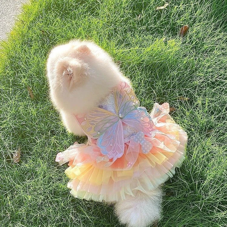 Dog Fairy Butterfly Dress Cat Princess Dress corgi Princess Rainbow Butterfly Pompadou Mini Dog Teddy 250409