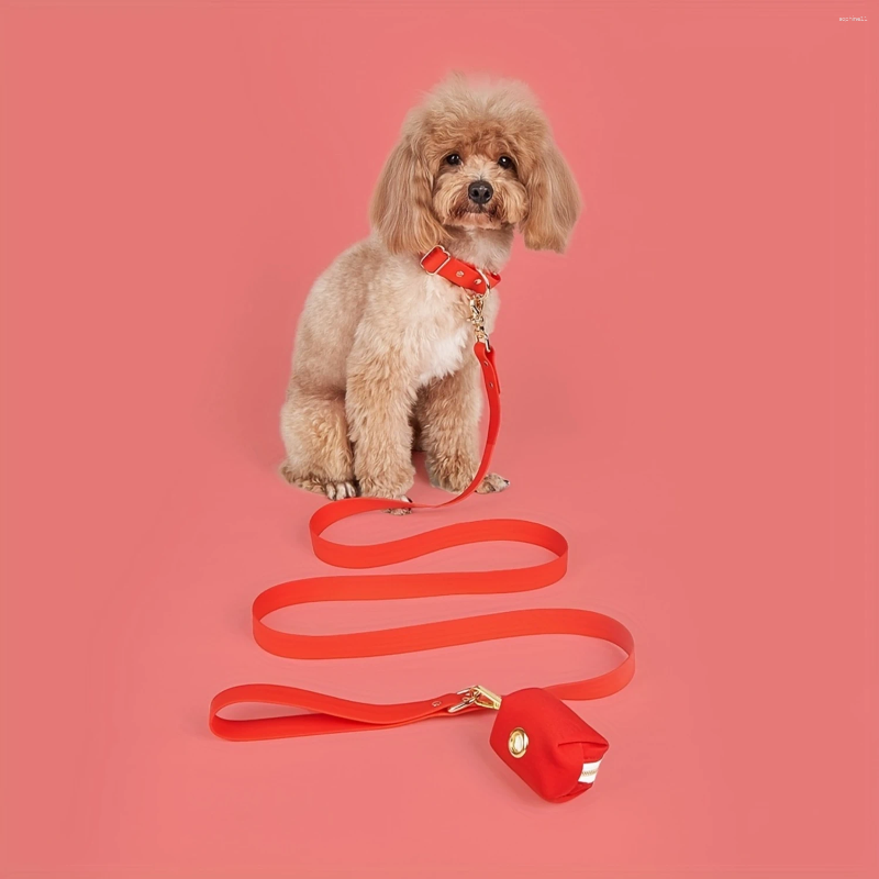 Update Waterproof Dog Leash & Collar Set - PVC Wrap Adjustable Easy Clean Small Medium Large Dogs