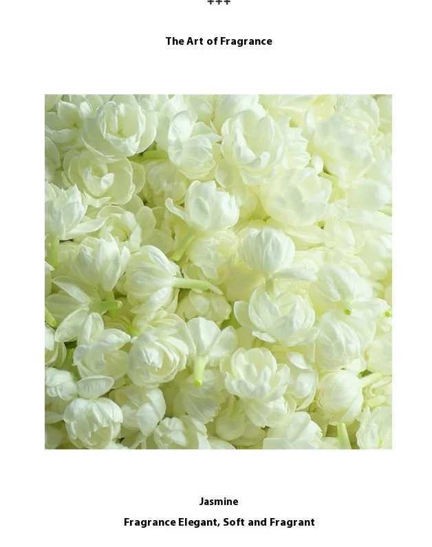 Brand perfume musk female perfume spray flirting pheromone durable rose jasmine vitality light perfume attracts romantic giftsXJ250409