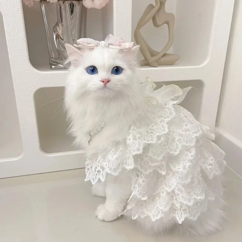 Cat clothing lace wedding dress dog clothing white hollow outer princess cat clothing fashionable and elegant dog clothing 250409