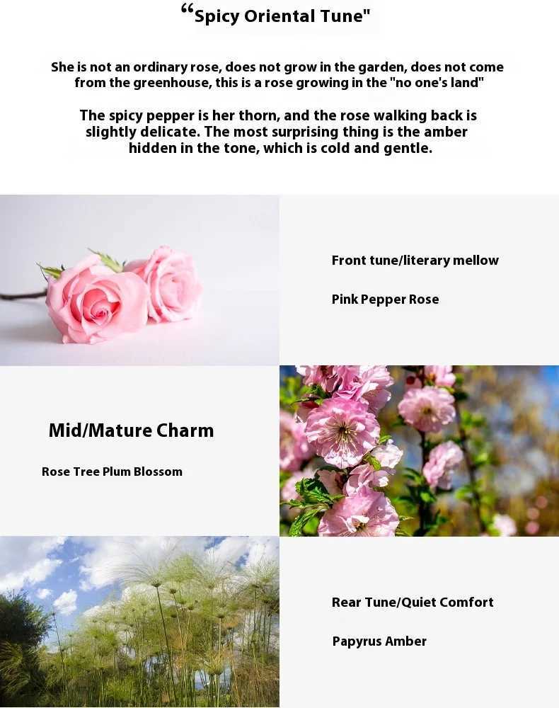 Brand perfume Flower Lady Amber perfume spray Flirting Pheromone Lasting Light perfume Romantic Women Valentines Day GiftXJ250409
