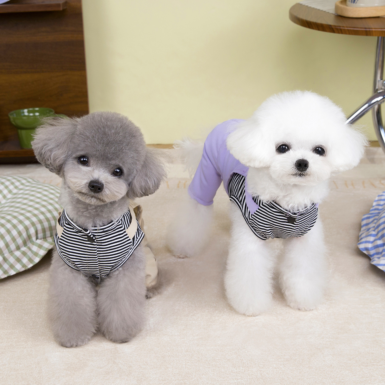 Fashion Small Dog Shirt with Leash Ring Dog Jumpsuit Snap Button Design Puppy Four Legged Suit with Pocket, Pet Summer Clothes for Cat Pomeranian York