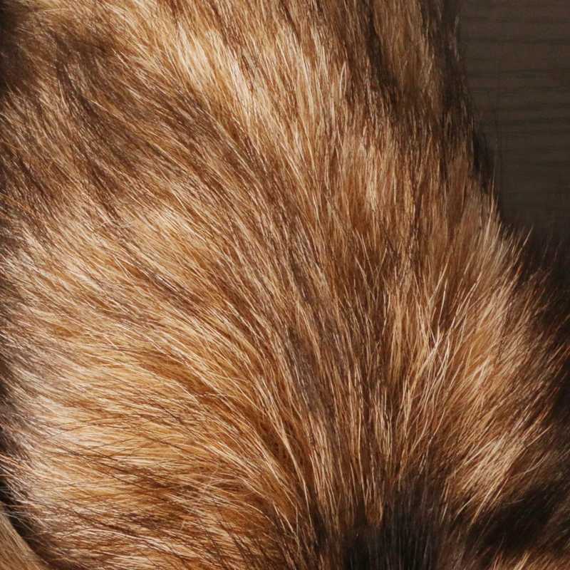 40cm wolf tail fur keychain womens fur Pom keychain ring charming car keychain holder package accessoriesXJ250409