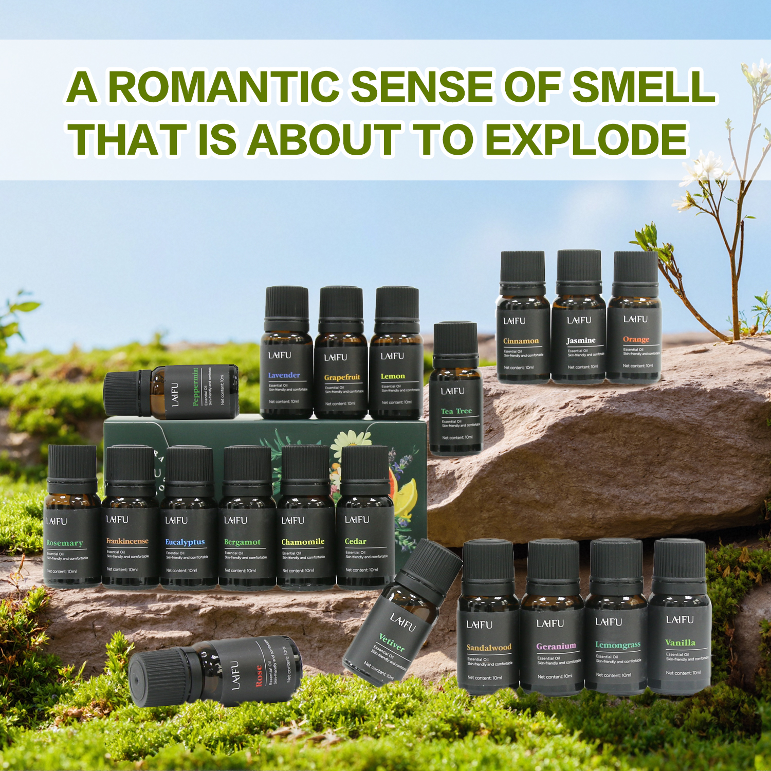 Aromatherapy Essential Oil Set, Water Soluble Scents for Humidifier, Diffuser, Candle & Soap Making, Home, Hotel & Restaurant Use, Multiple Fragrances