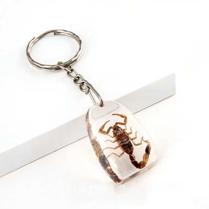 Amber Simulation Scorpion Specimen KeychainXJ250409