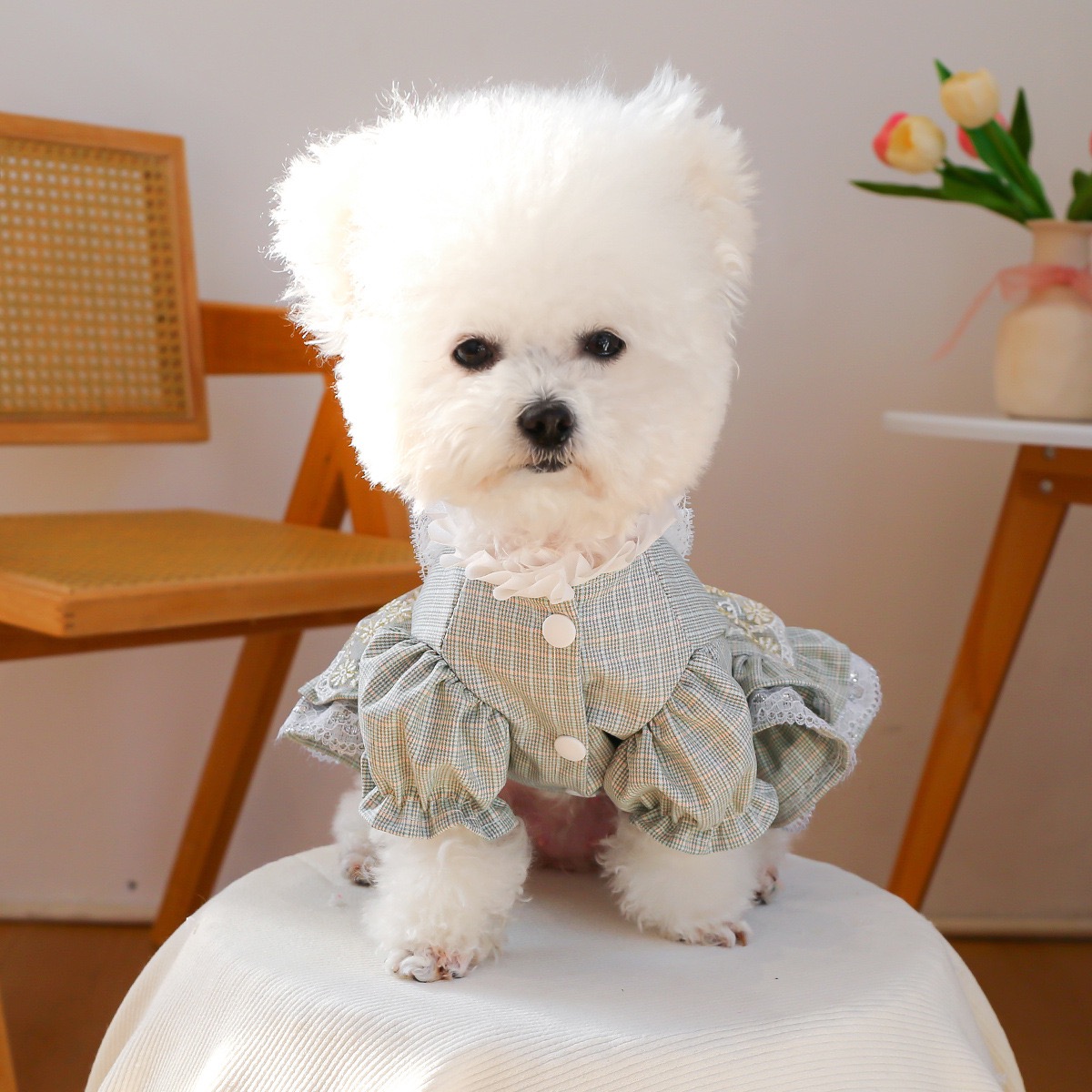 Fancy Dog Dress , Embroidered Dog Wedding Dress, Bow Puppy Clothes for Small pet Girl Multi-Layer Lace Cat Outfit