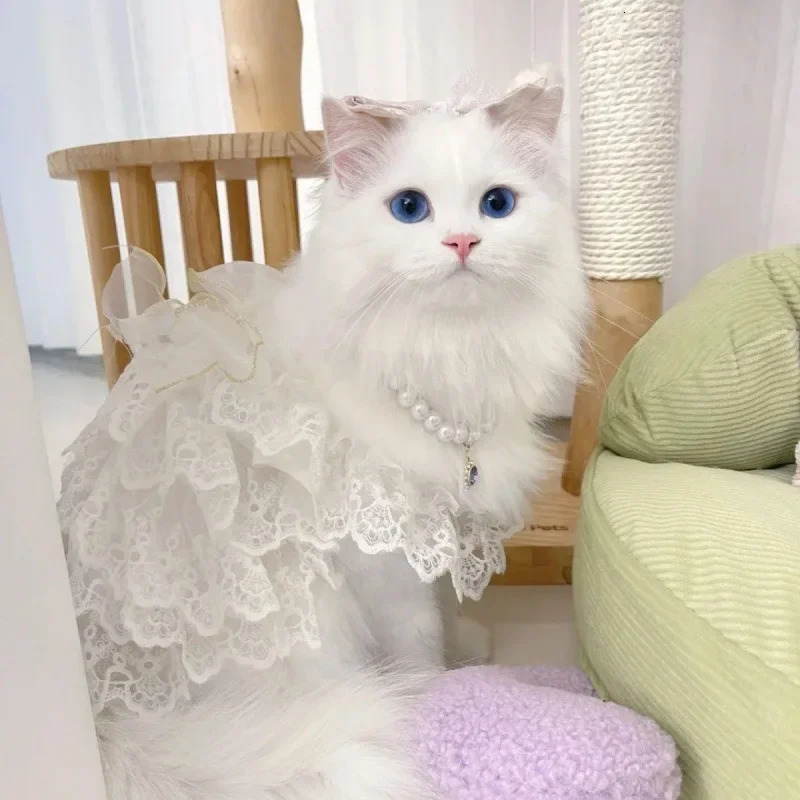 Cat clothing lace wedding dress dog clothing white hollow outer princess cat clothing fashionable and elegant dog clothing 250409