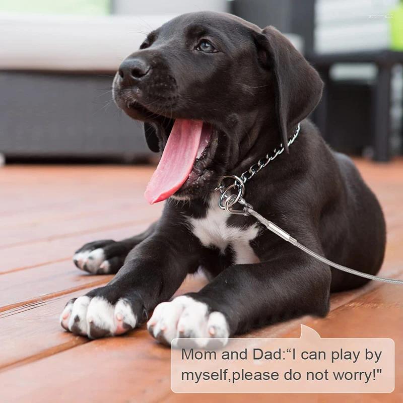 Outdoor Pet Leash With Dog Fixed Pile Metal Screw Stake For Camping Garden Ground Dogs Leads Leashes Set