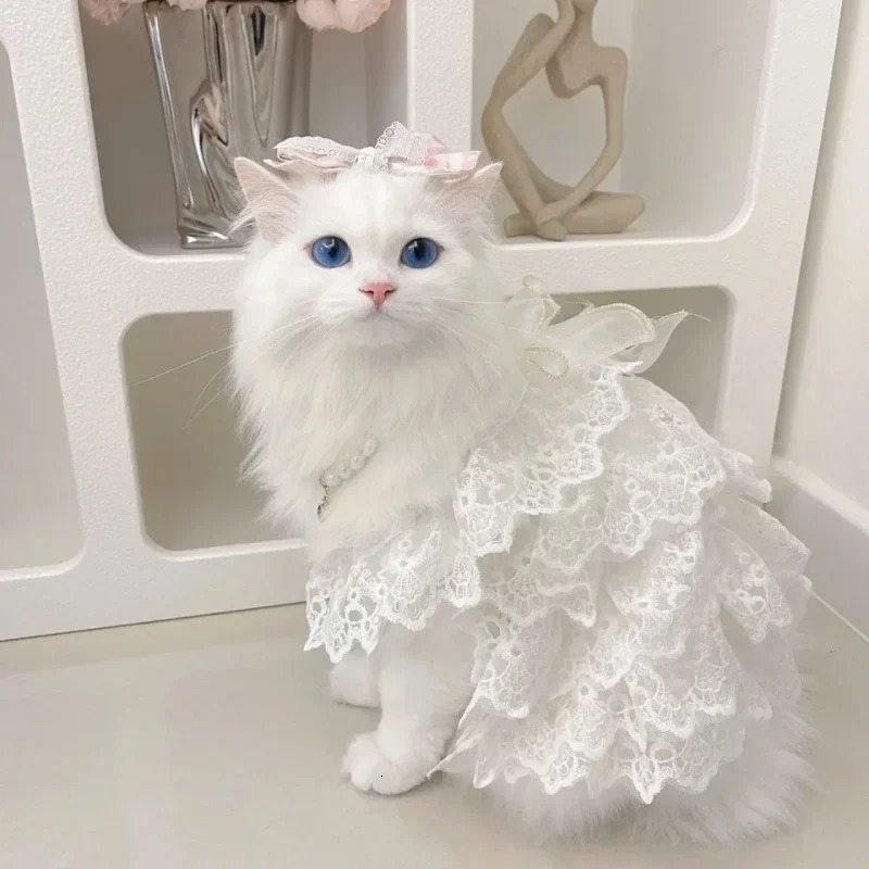 Cat clothing lace wedding dress dog clothing white hollow outer princess cat clothing fashionable and elegant dog clothing 250409