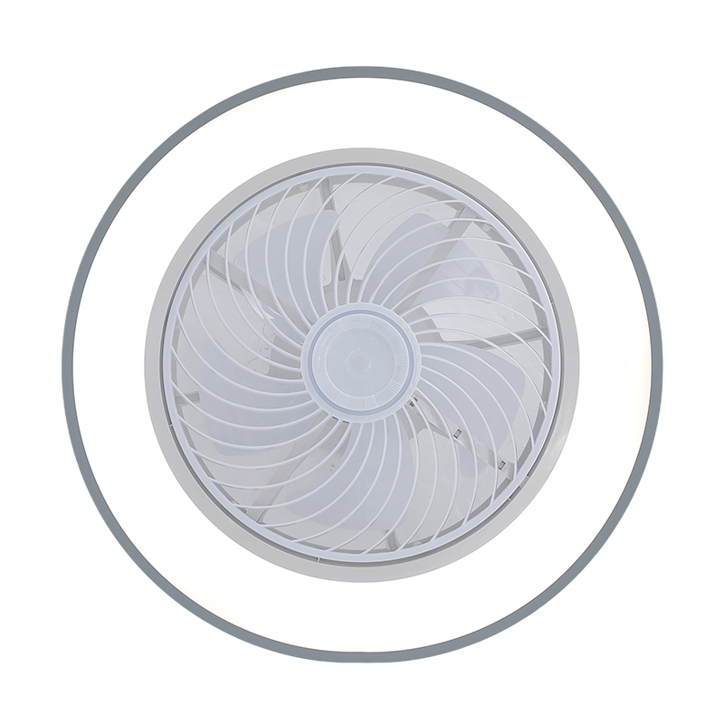 High Efficiency Bed Room Ceiling Fan-Light Combination Featuring Silent Wind Flow and Bright Illumination-5894