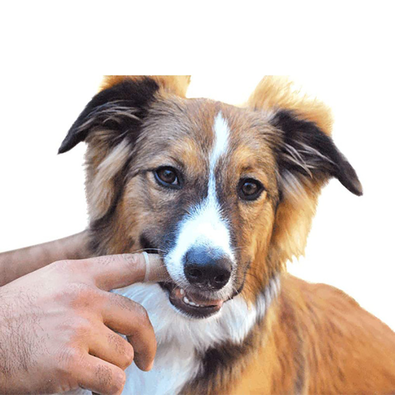Silicone Pet Toothbrush Puppy Oral Cleaning tool Dog Finger Toothbrush Preventing Calculus Bad Breath Care Dog and Cat Finger Brush