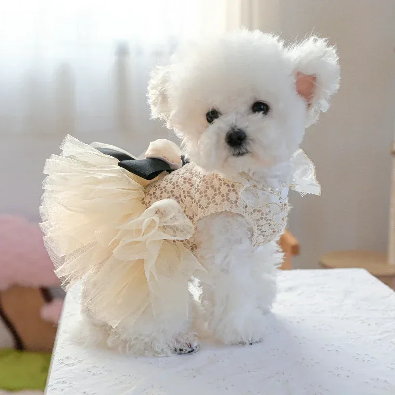 Pet Clothing Cat Wedding Dress Cat Dress Bow Thin Gauze Dress Cat Clothing Dog Lolita Dress Pomeranian Teddy Dress Cat Clothing 250409