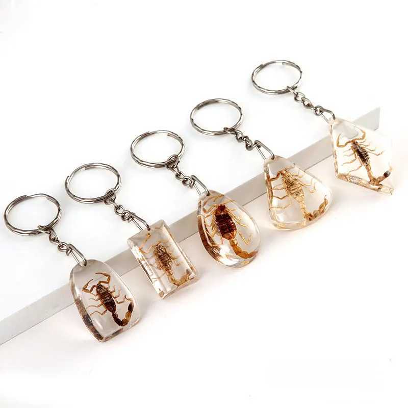 Amber Simulation Scorpion Specimen KeychainXJ250409